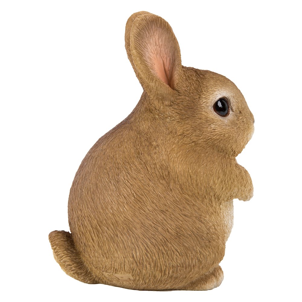 Chubby Rabbit Standing. Picture 1