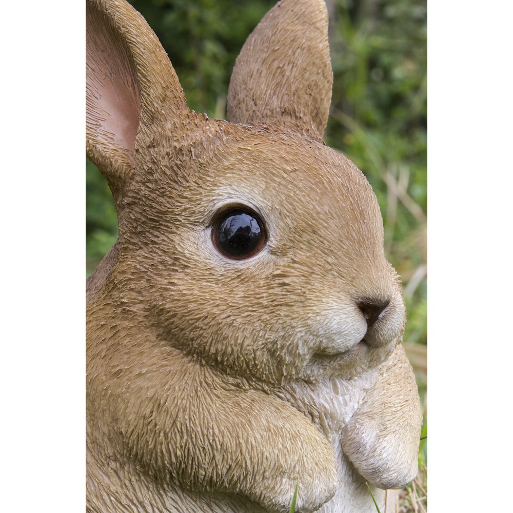 Chubby Rabbit Standing. Picture 6