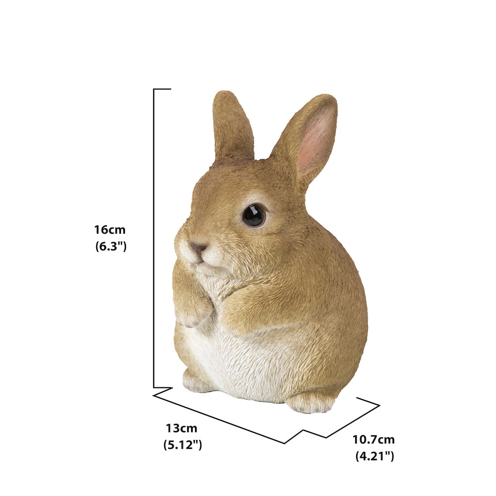 Chubby Rabbit Standing. Picture 5