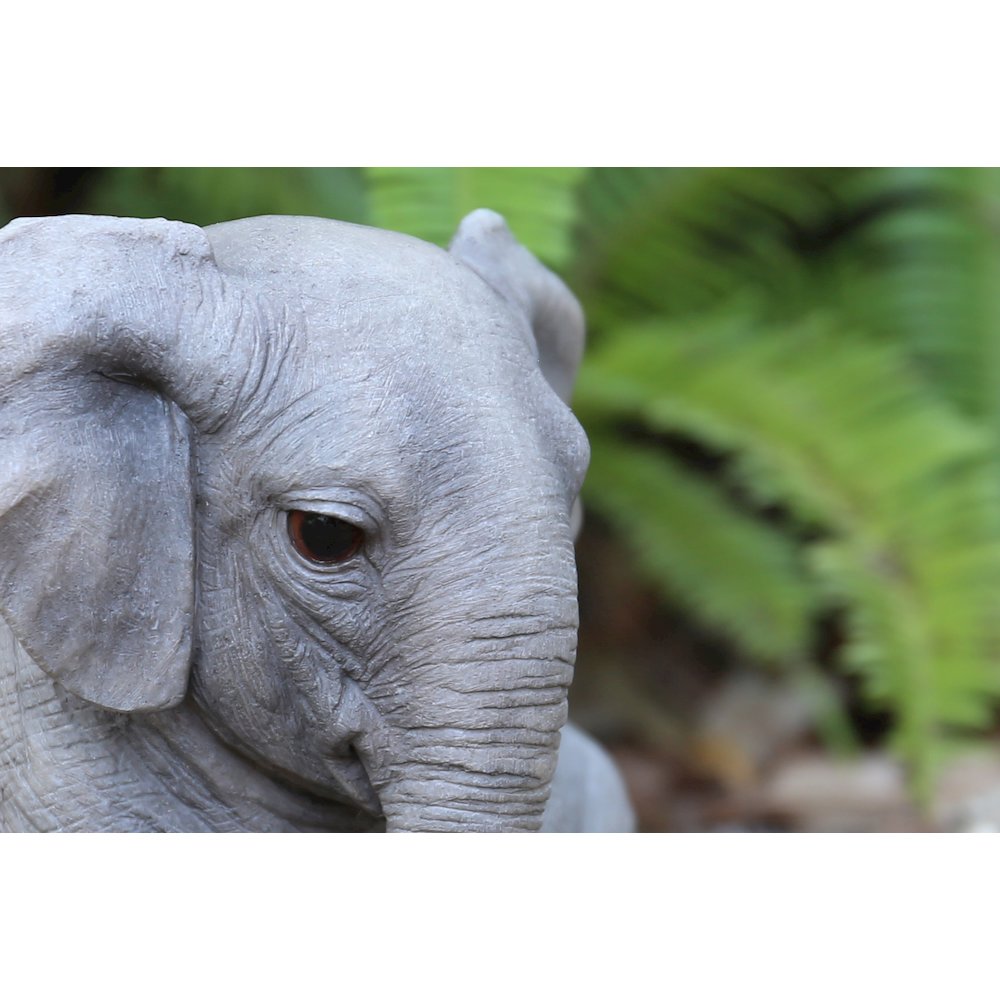 Chubby Elephant Sitting. Picture 3