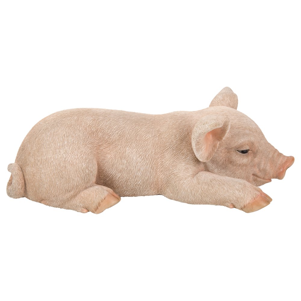 Pig Sleeping. Picture 1