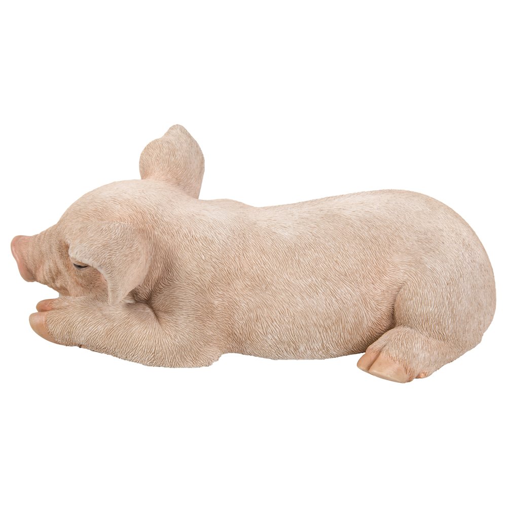 Pig Sleeping. Picture 3