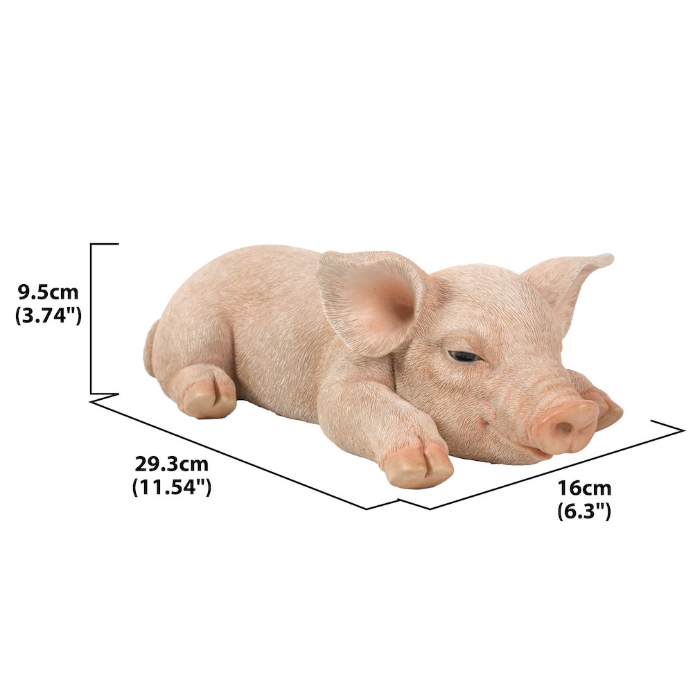 Pig Sleeping. Picture 7