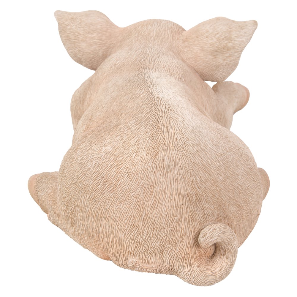 Pig Sleeping. Picture 4