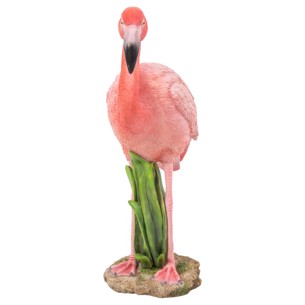 Flamingo Standing. Picture 1