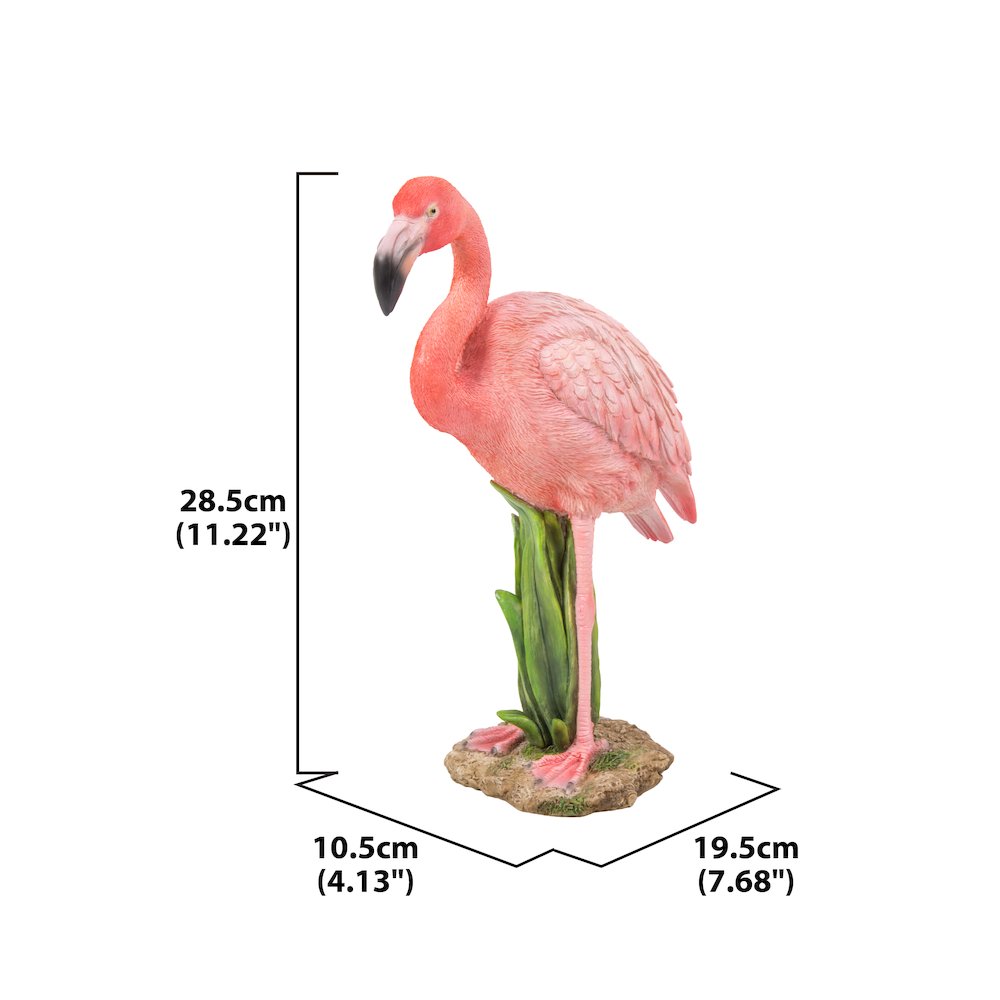 Flamingo Standing. Picture 3