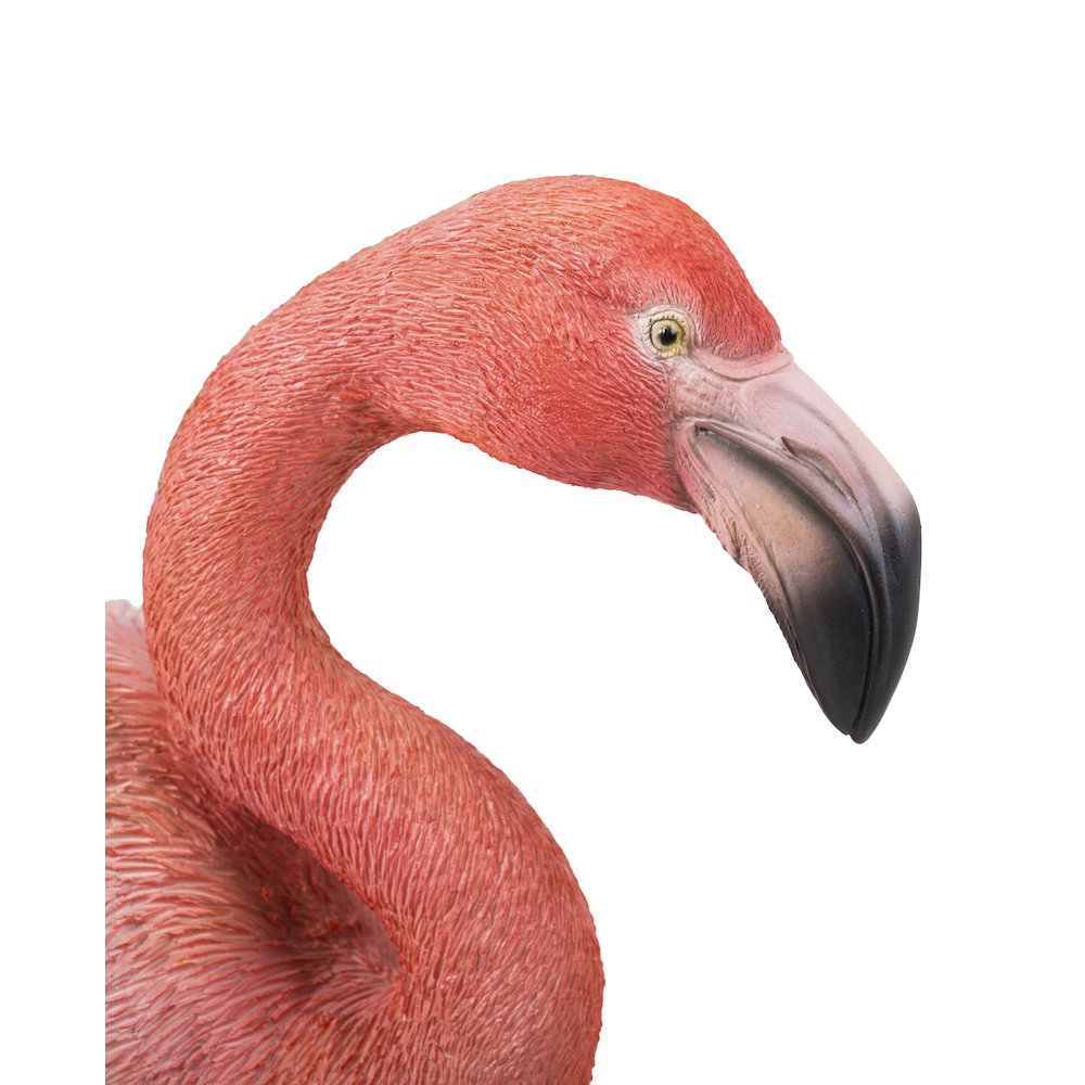 Flamingo Standing. Picture 2
