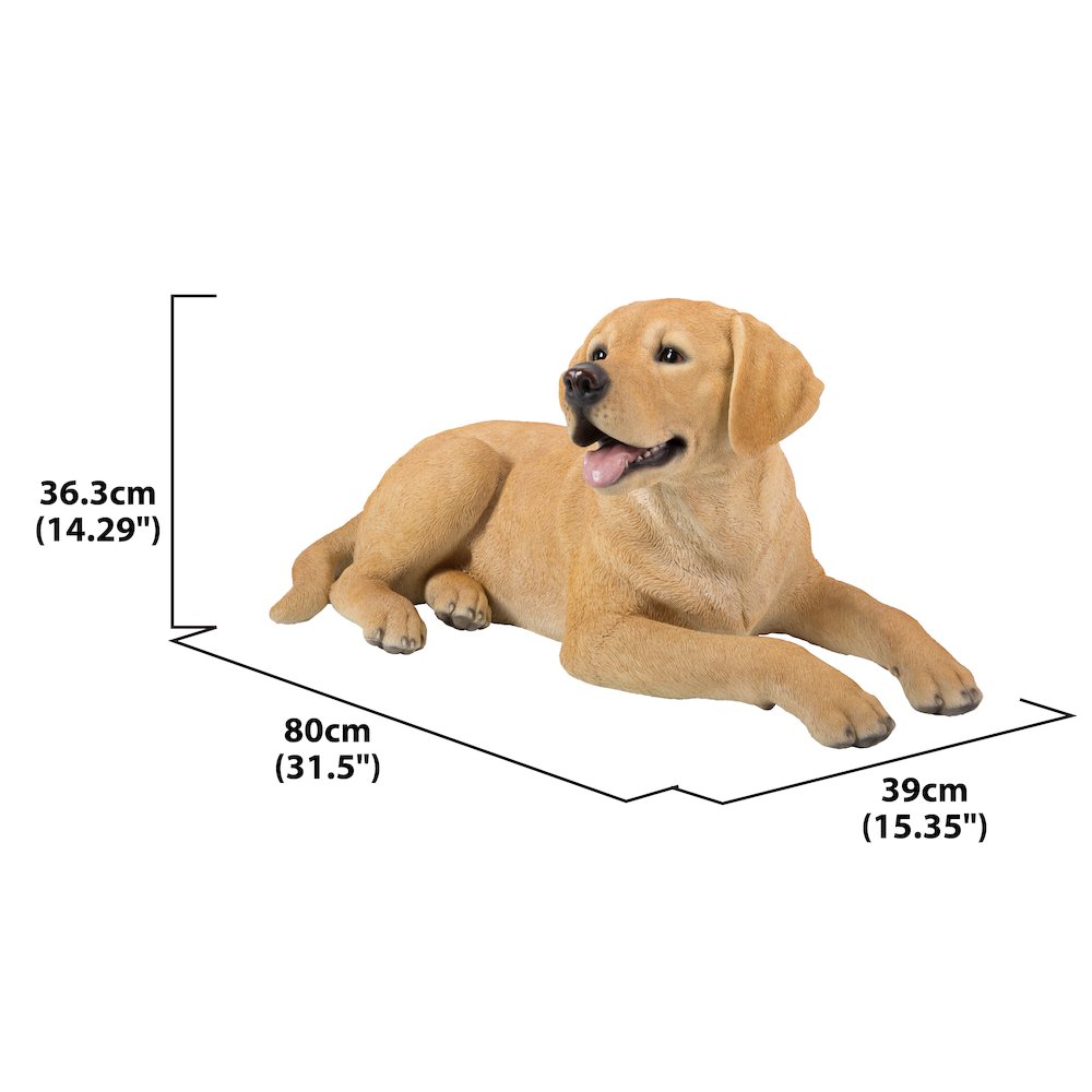 Yellow Labrador Retriever Lying Down. Picture 2