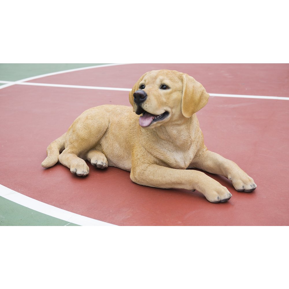 Yellow Labrador Retriever Lying Down. Picture 1