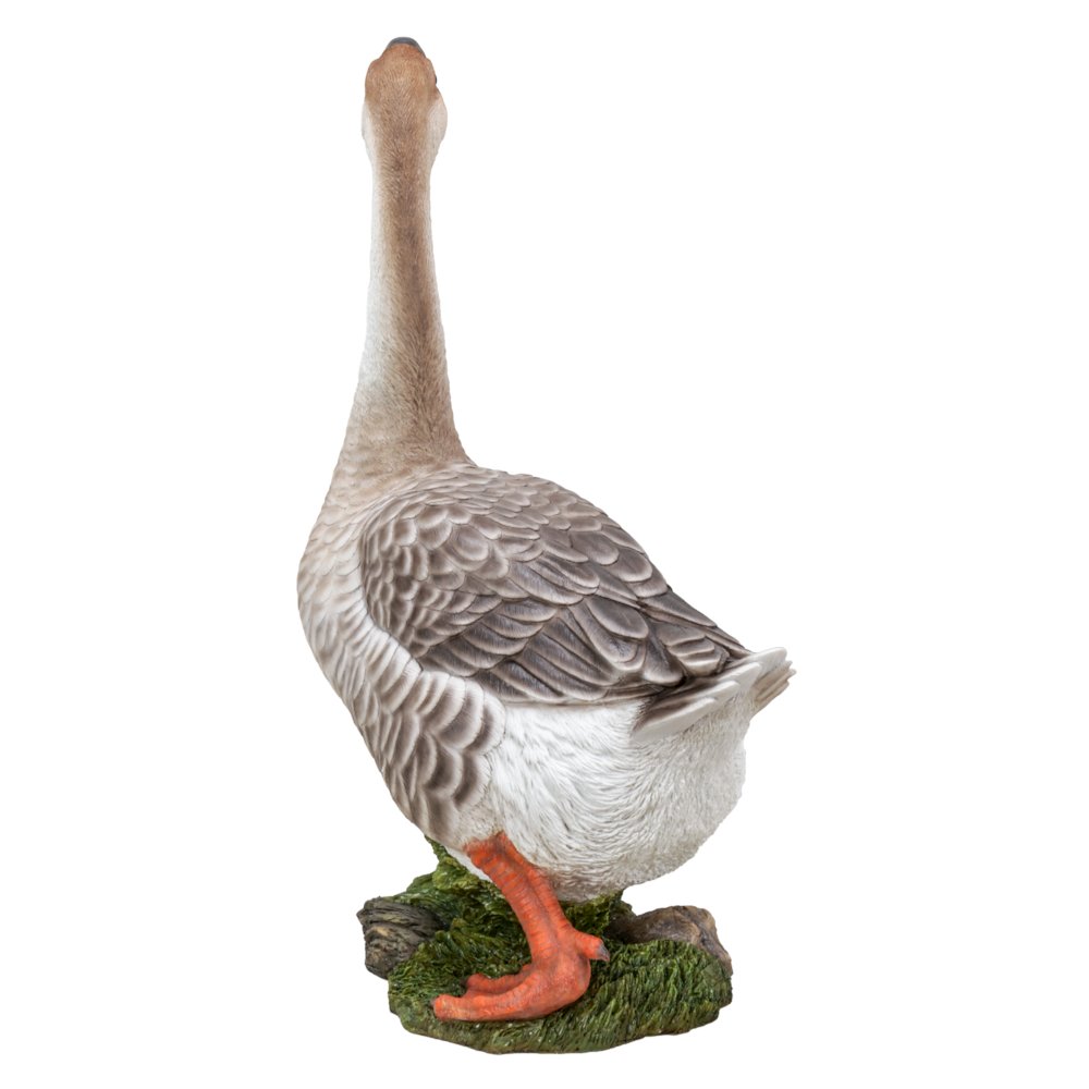 Goose. Picture 1