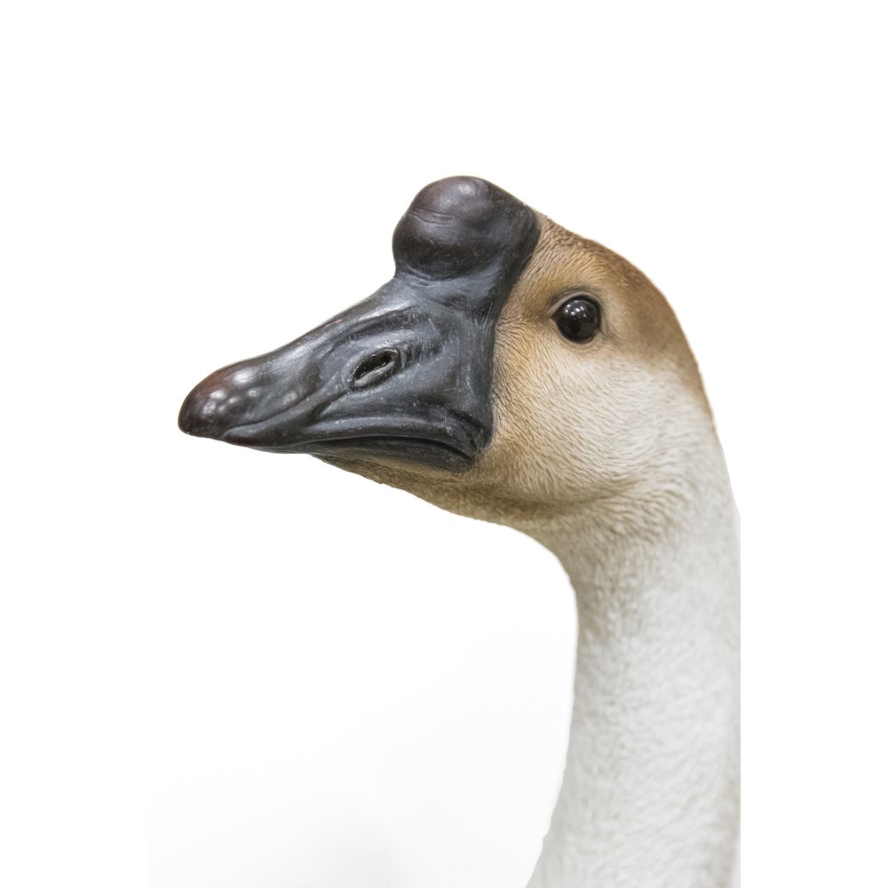 Goose. Picture 2