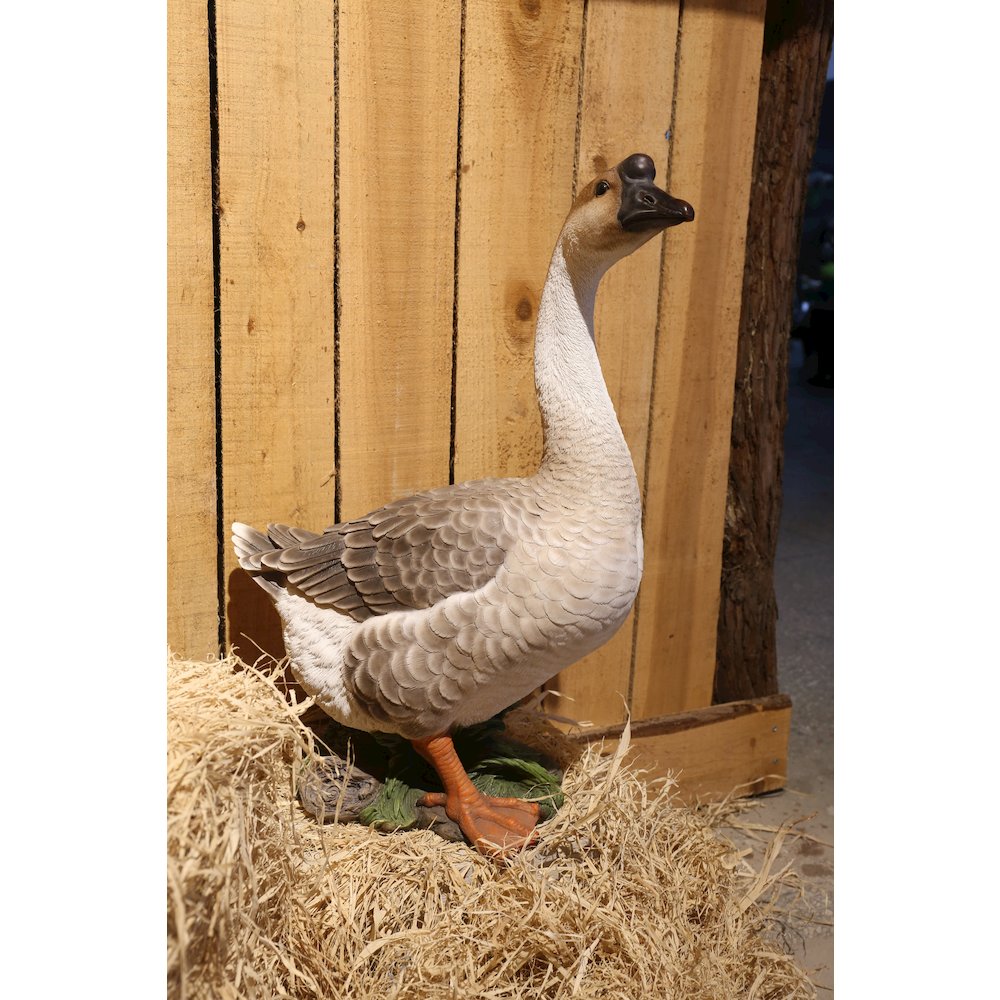 Goose. Picture 3