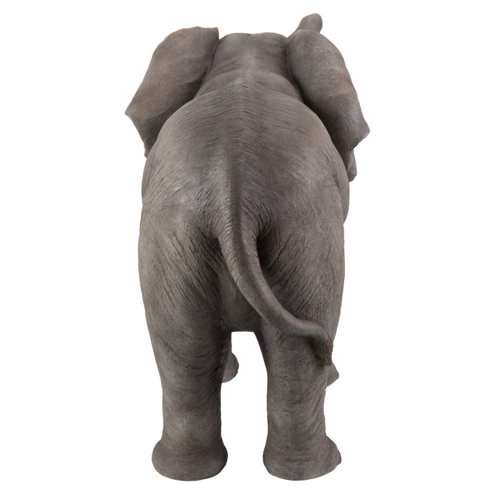 Elephant with Trunk Up. Picture 1