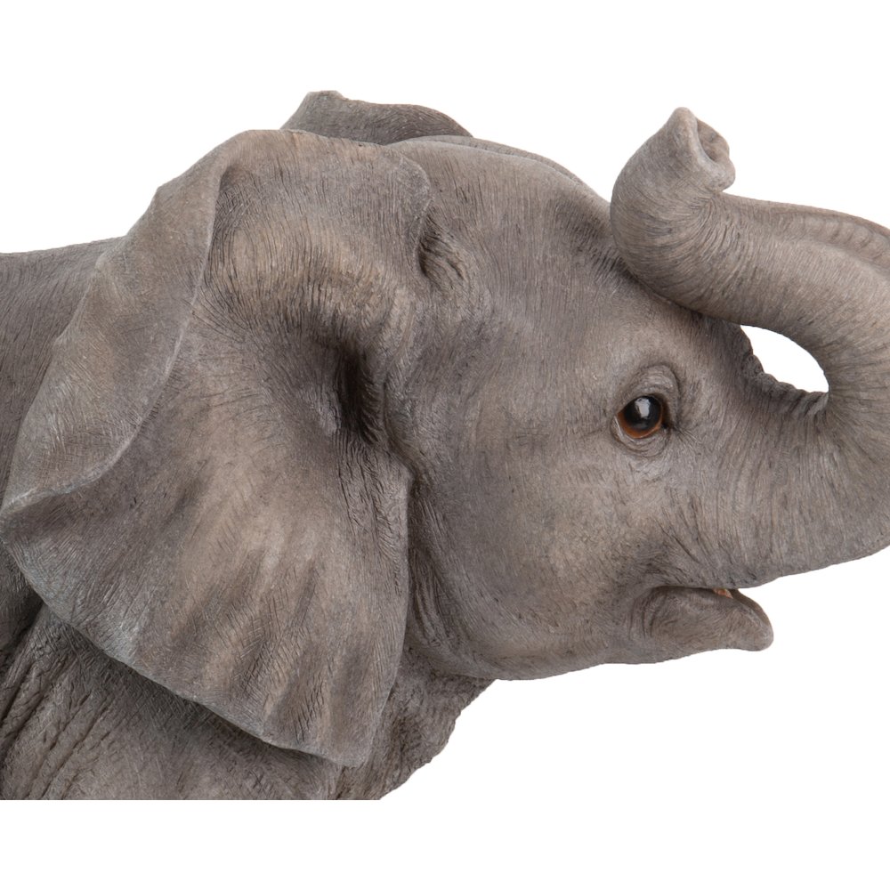 Elephant with Trunk Up. Picture 3