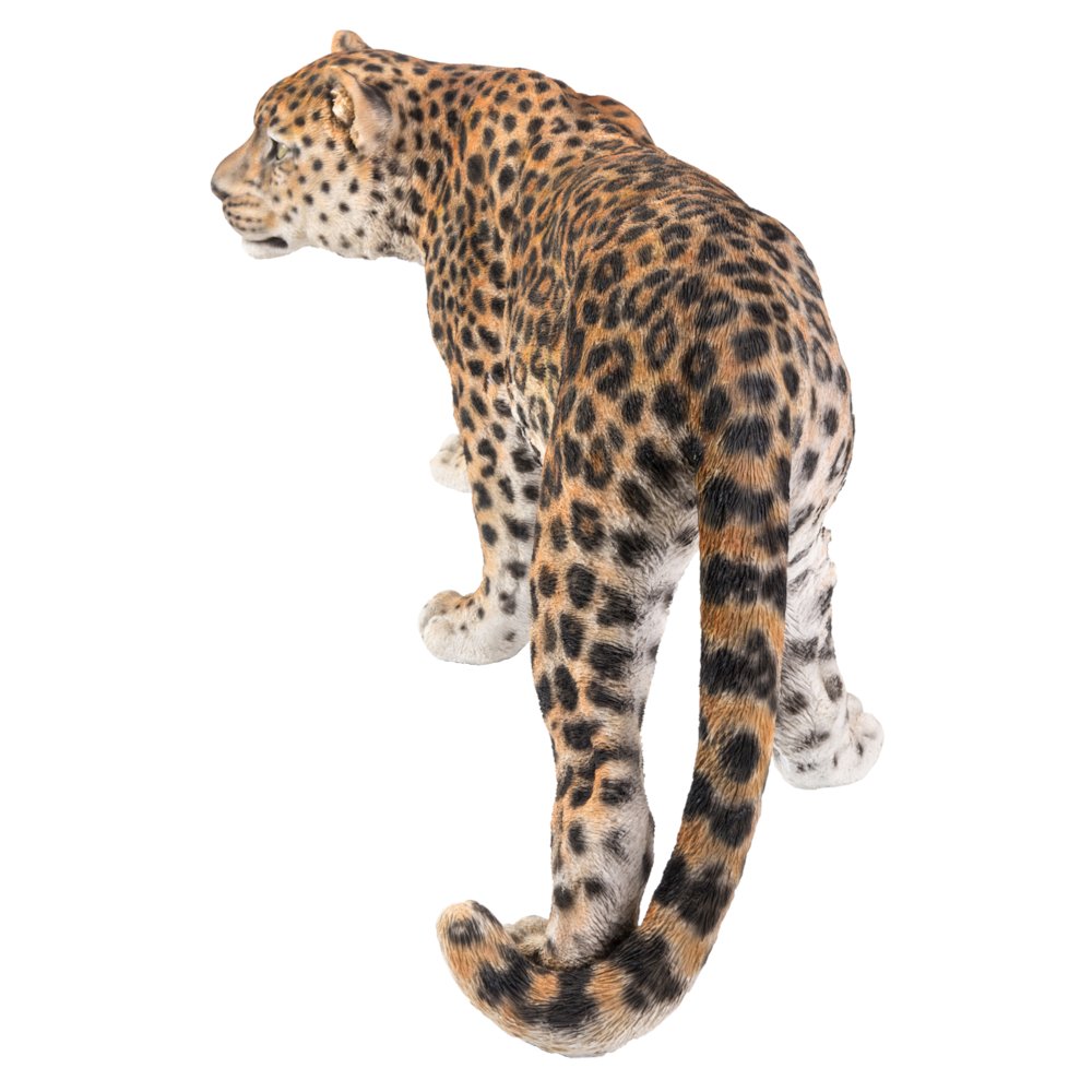 Leopard Stalking. Picture 2