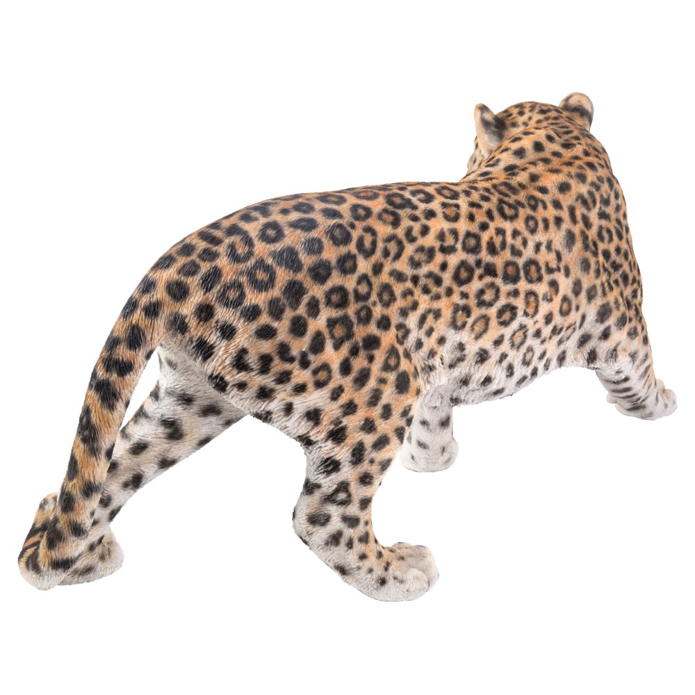 Leopard Stalking. Picture 1