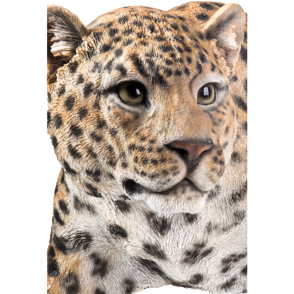 Leopard Stalking. Picture 4
