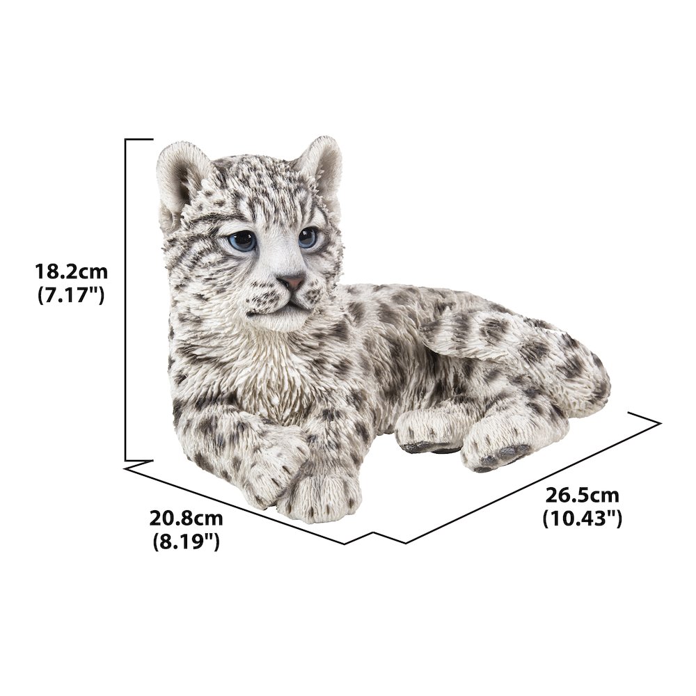 Snow Leopard Cub. Picture 1