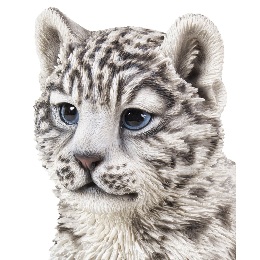 Snow Leopard Cub. Picture 2
