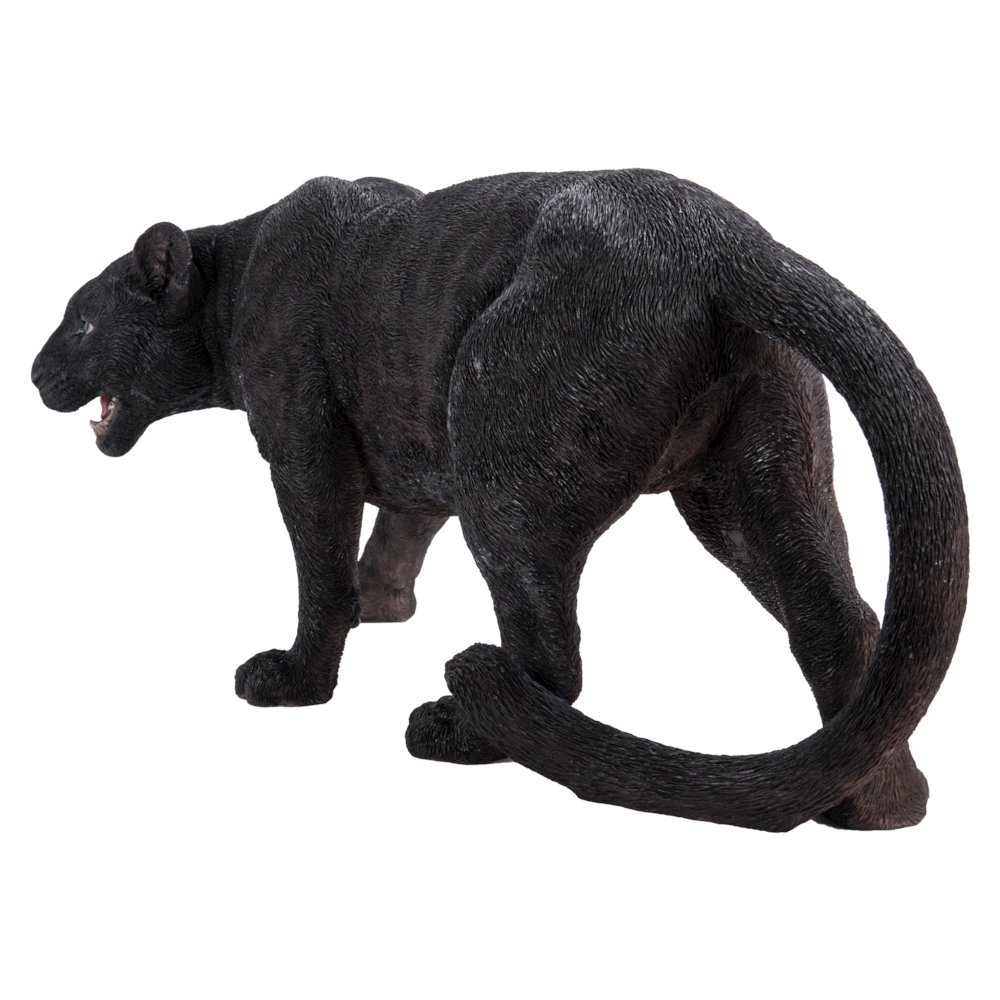 Black Panther Stalking. Picture 3