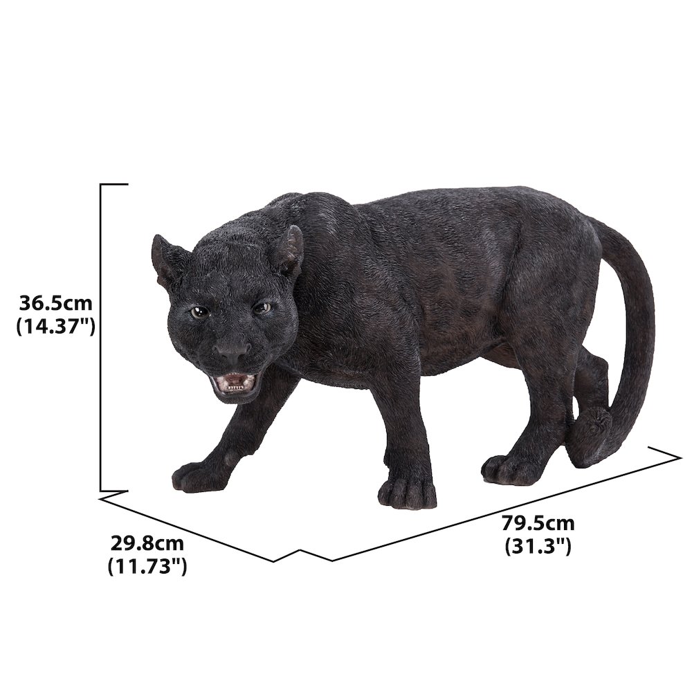 Black Panther Stalking. Picture 2