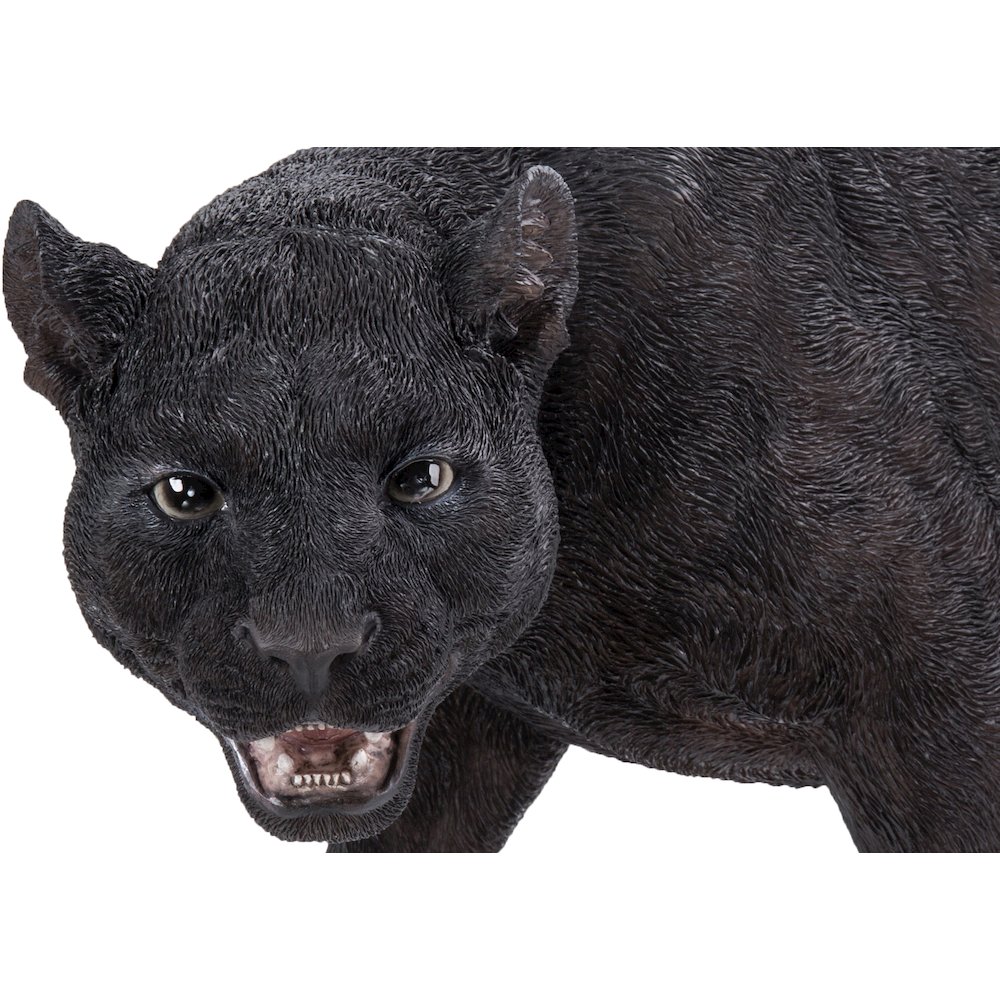 Black Panther Stalking. Picture 1