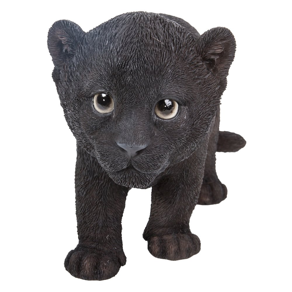 Black Panther Cub. Picture 2