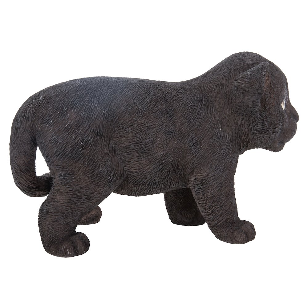 Black Panther Cub. Picture 1