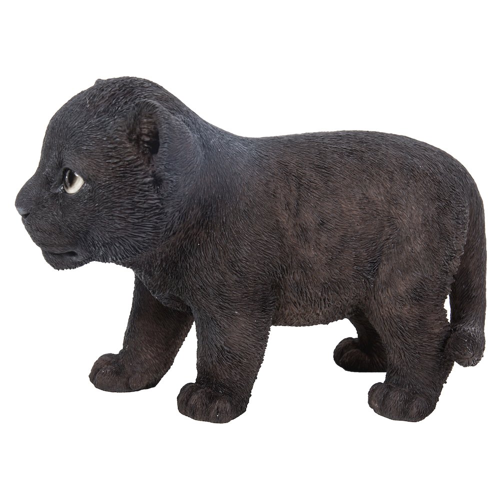 Black Panther Cub. Picture 3