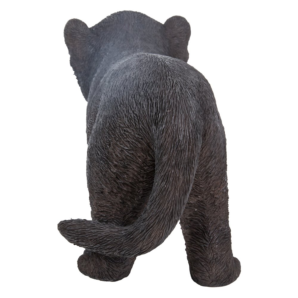 Black Panther Cub. Picture 4