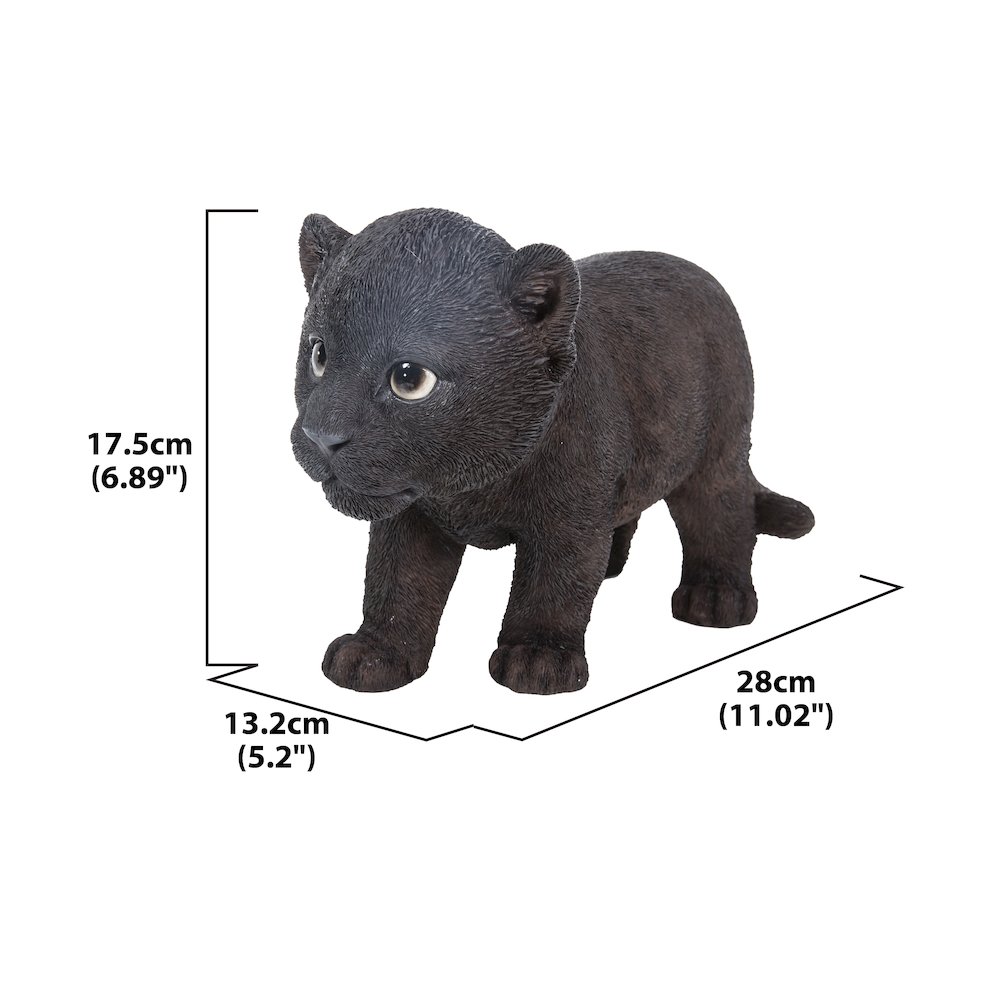 Black Panther Cub. Picture 5