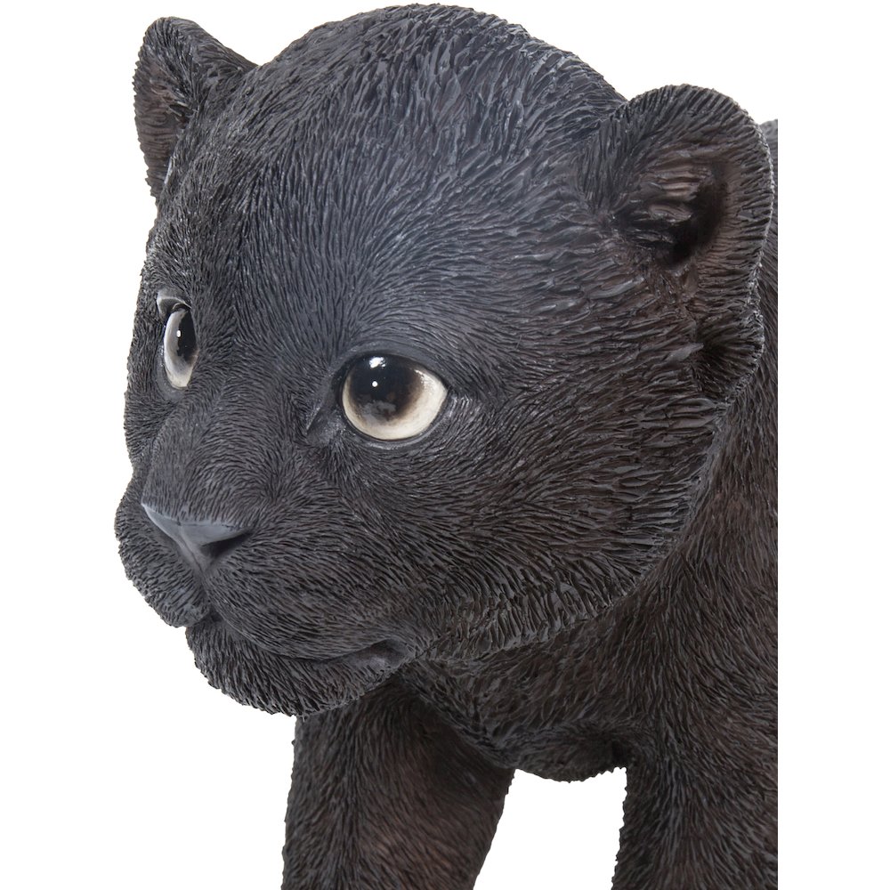 Black Panther Cub. Picture 6