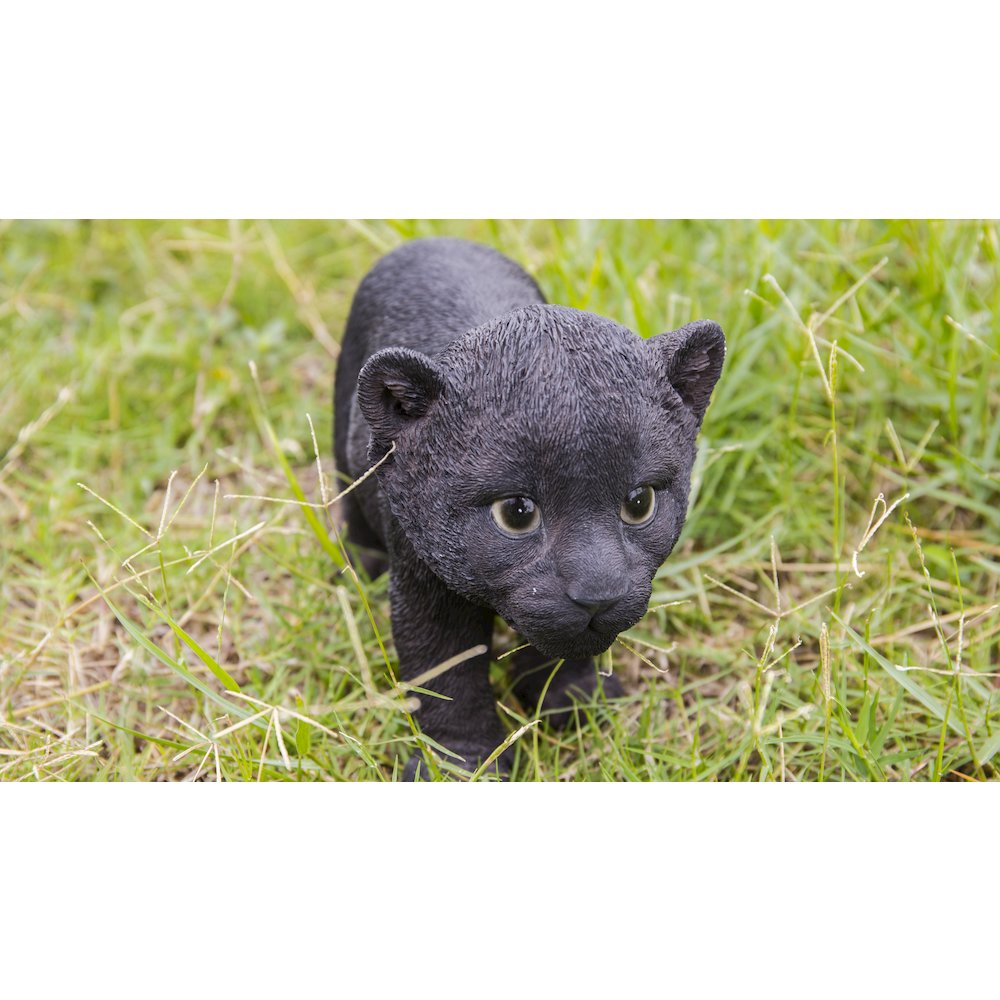Black Panther Cub. Picture 7
