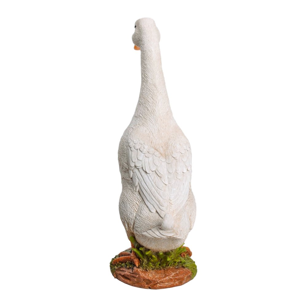 White Duck. Picture 1