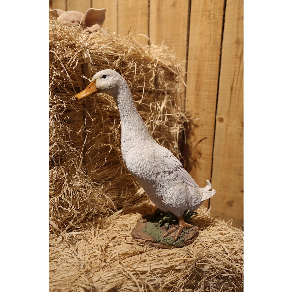 White Duck. Picture 3