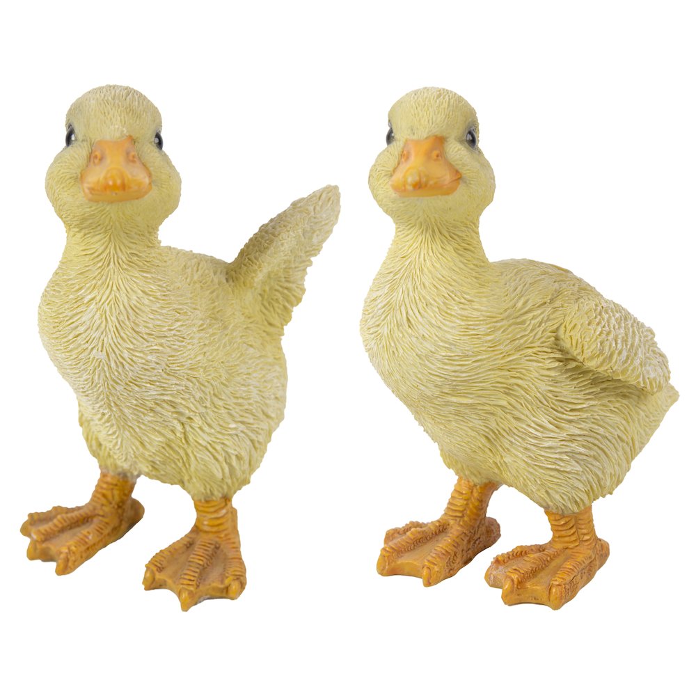 Ducklings One with Wings Out & One with Wings Down. Picture 1