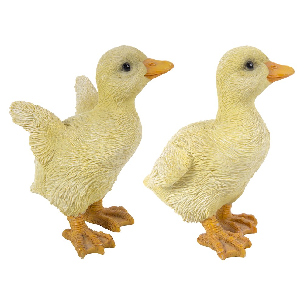 Ducklings One with Wings Out & One with Wings Down. Picture 7