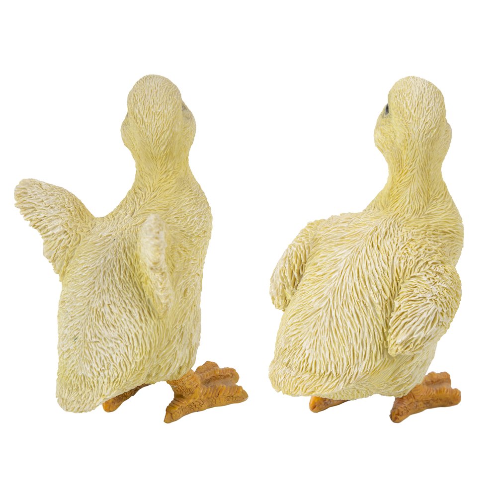Ducklings One with Wings Out & One with Wings Down. Picture 5