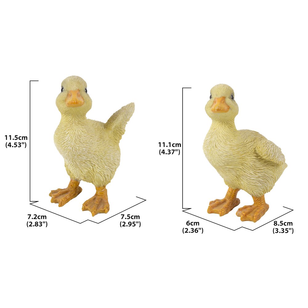 Ducklings One with Wings Out & One with Wings Down. Picture 4