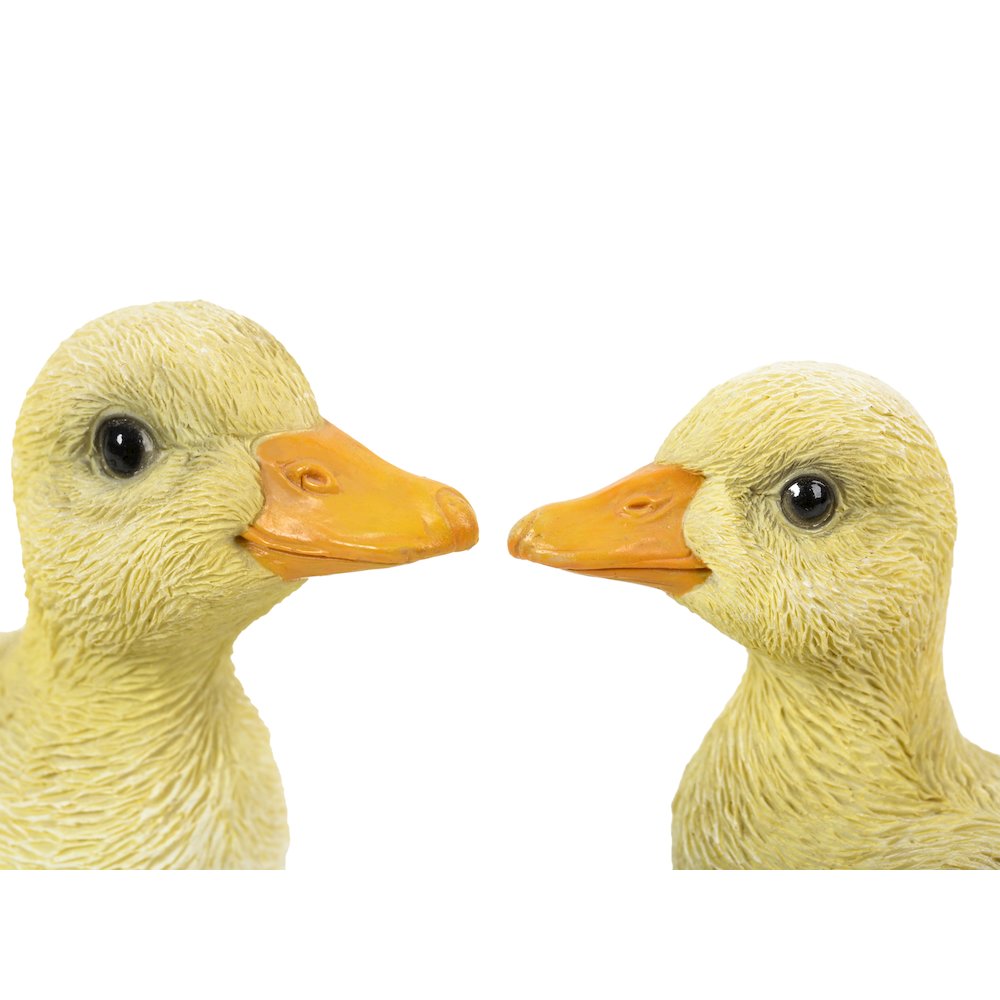 Ducklings One with Wings Out & One with Wings Down. Picture 2