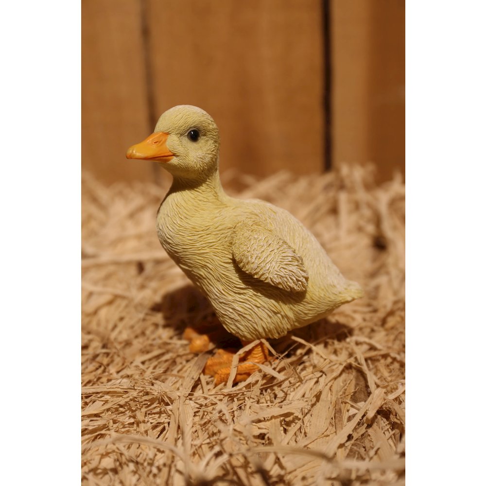 Ducklings One with Wings Out & One with Wings Down. Picture 3