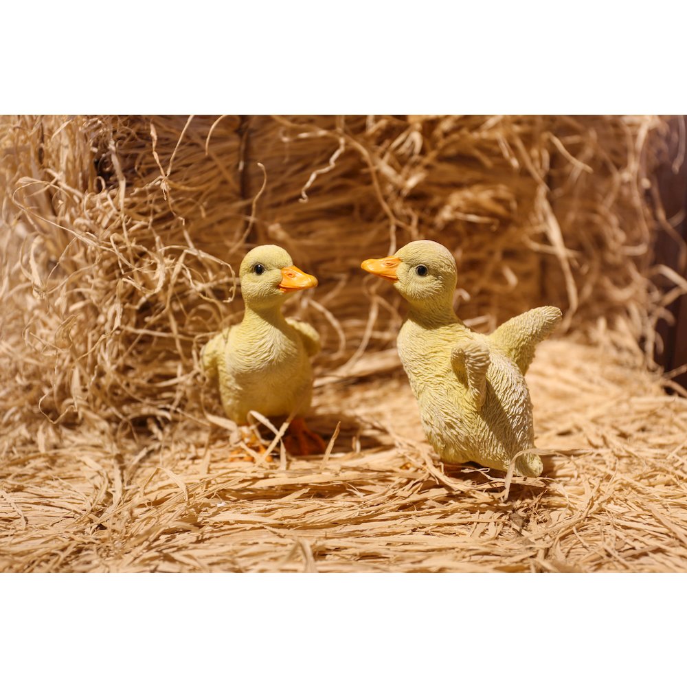 Ducklings One with Wings Out & One with Wings Down. Picture 8
