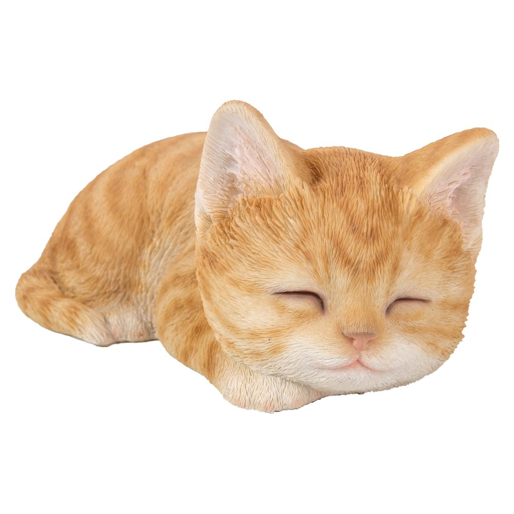 Orange Tabby Kitten Sleeping. Picture 1