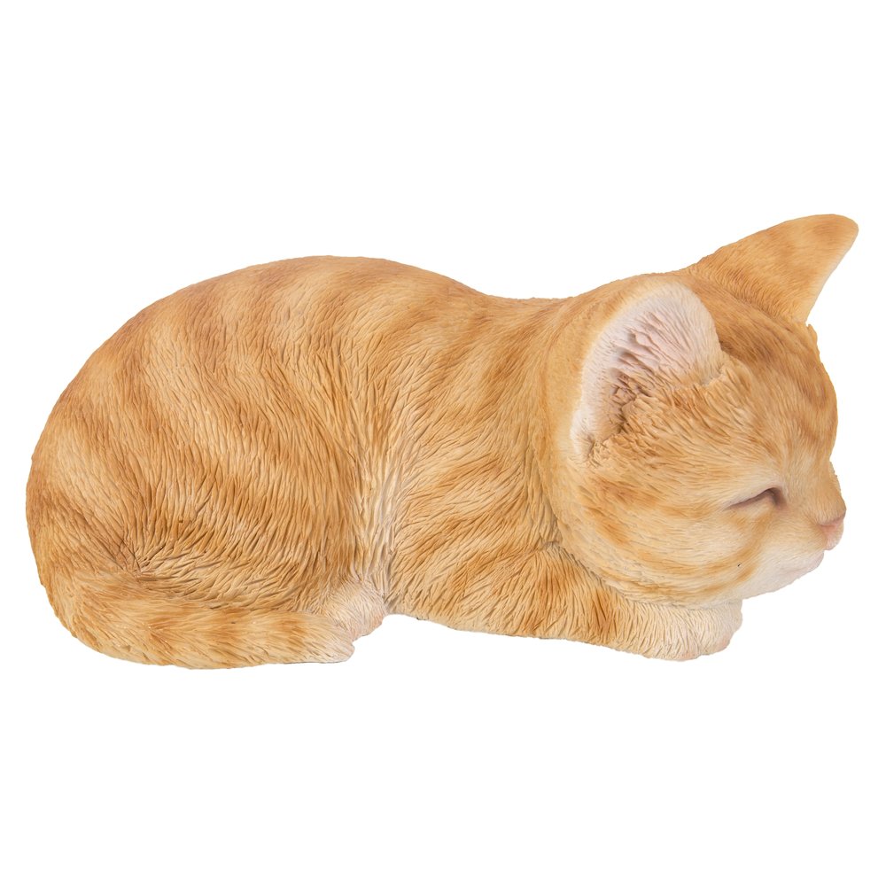 Orange Tabby Kitten Sleeping. Picture 4