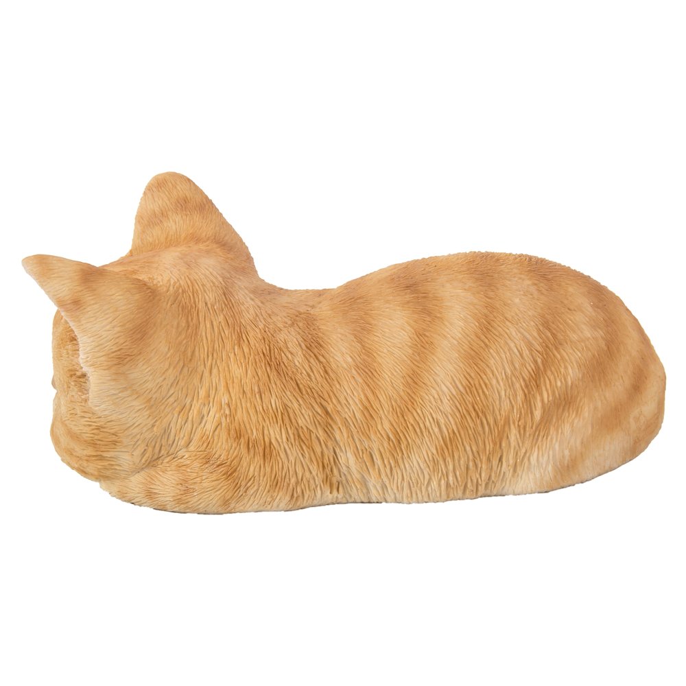 Orange Tabby Kitten Sleeping. Picture 3