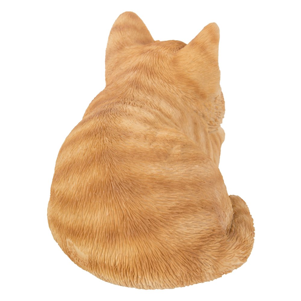 Orange Tabby Kitten Sleeping. Picture 2