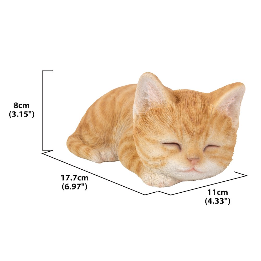Orange Tabby Kitten Sleeping. Picture 5