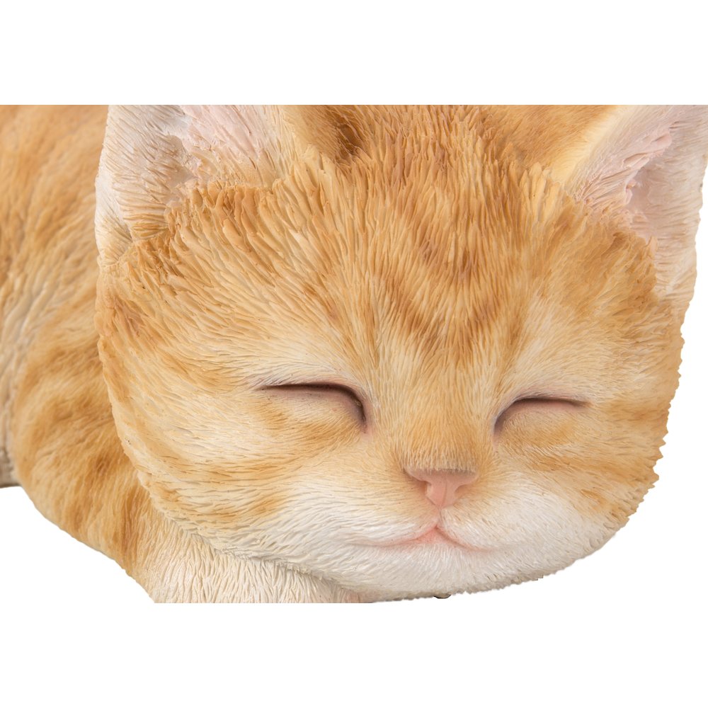 Orange Tabby Kitten Sleeping. Picture 6