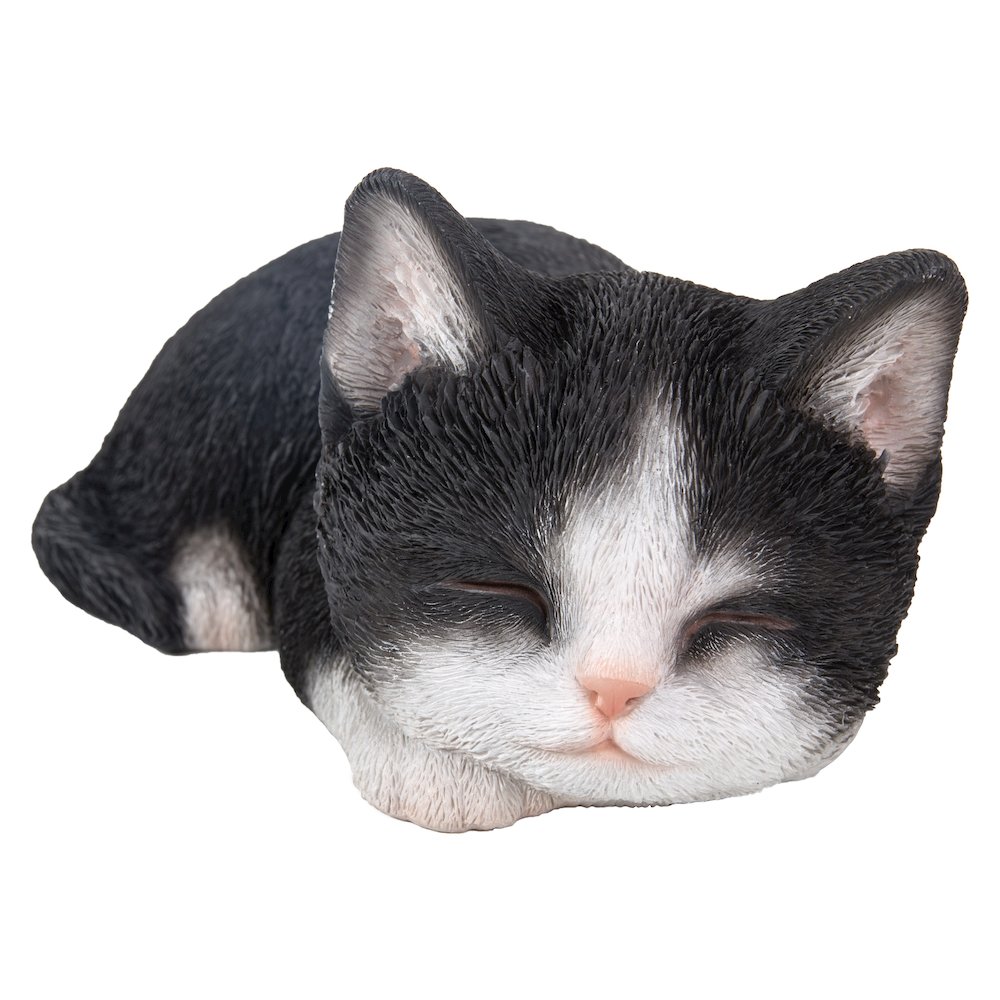 Black & White Kitten Sleeping. Picture 2