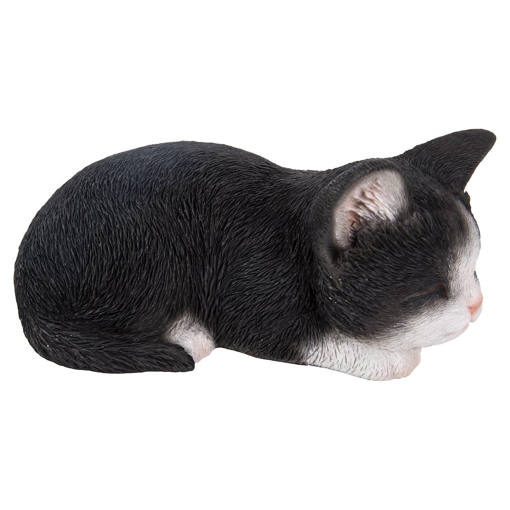 Black & White Kitten Sleeping. Picture 1
